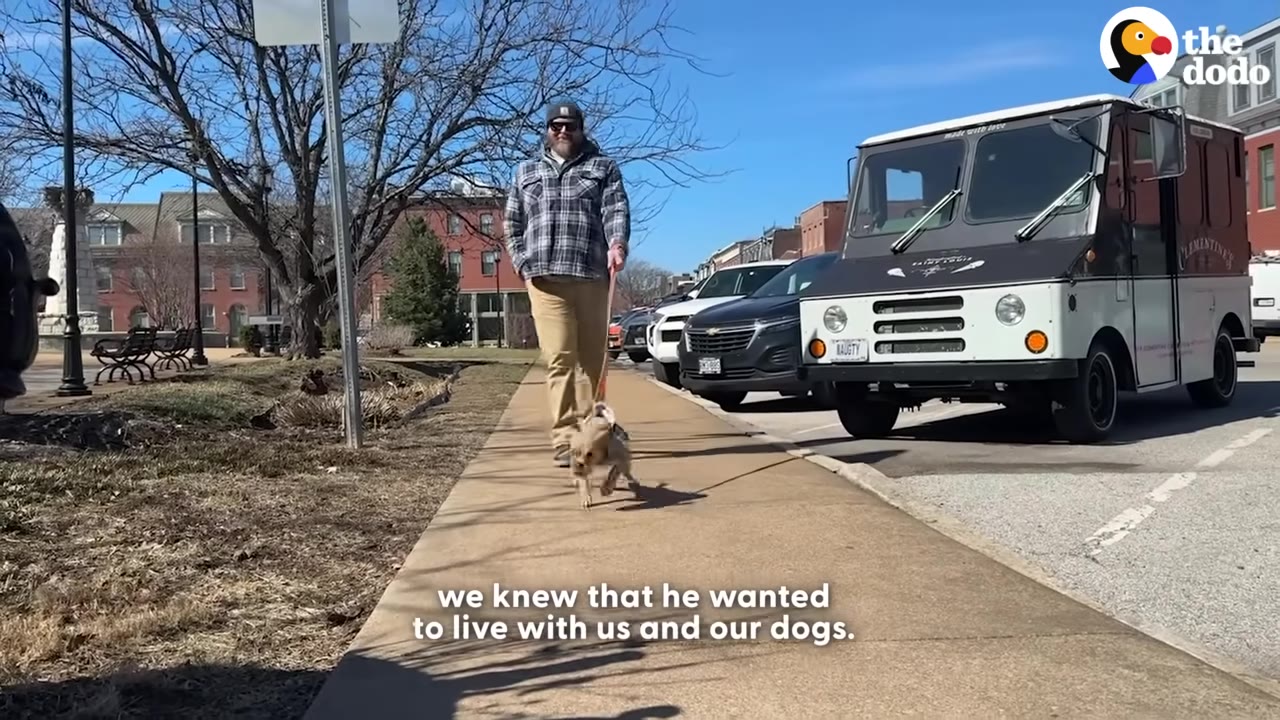 A man in a plaid jacket and sunglasses walks a small dog on a leash along a sunny sidewalk.