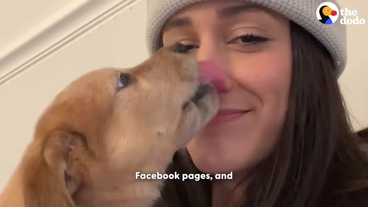 A close-up of a smiling woman wearing a grey beanie as a small tan puppy licks her nose.