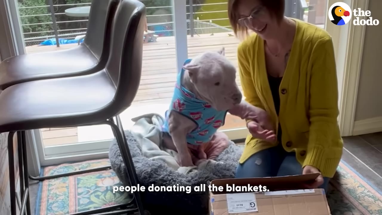 A smiling woman in a yellow cardigan sits on the floor next to a dog wearing blue pajamas, holding his paw as they look at a cardboard box of donations.