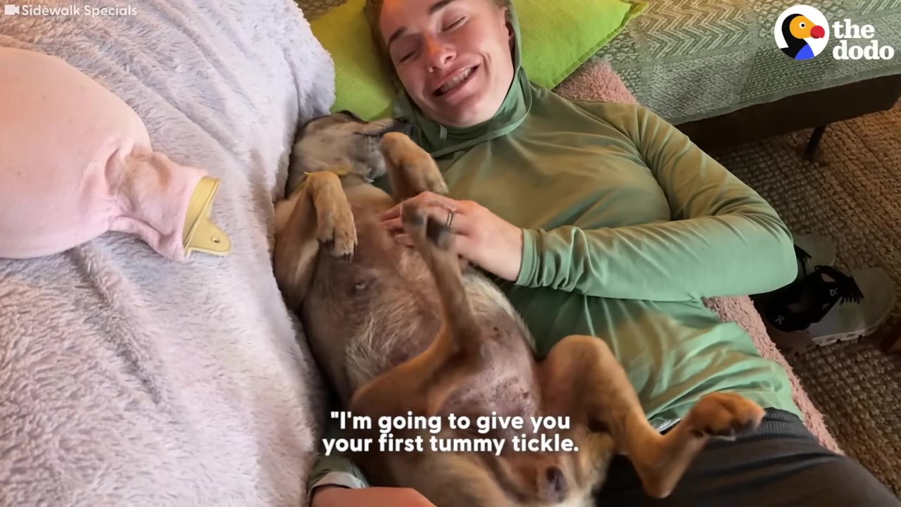 A smiling woman lies on a couch next to a brown dog lying on its back, giving the dog a tummy tickle.