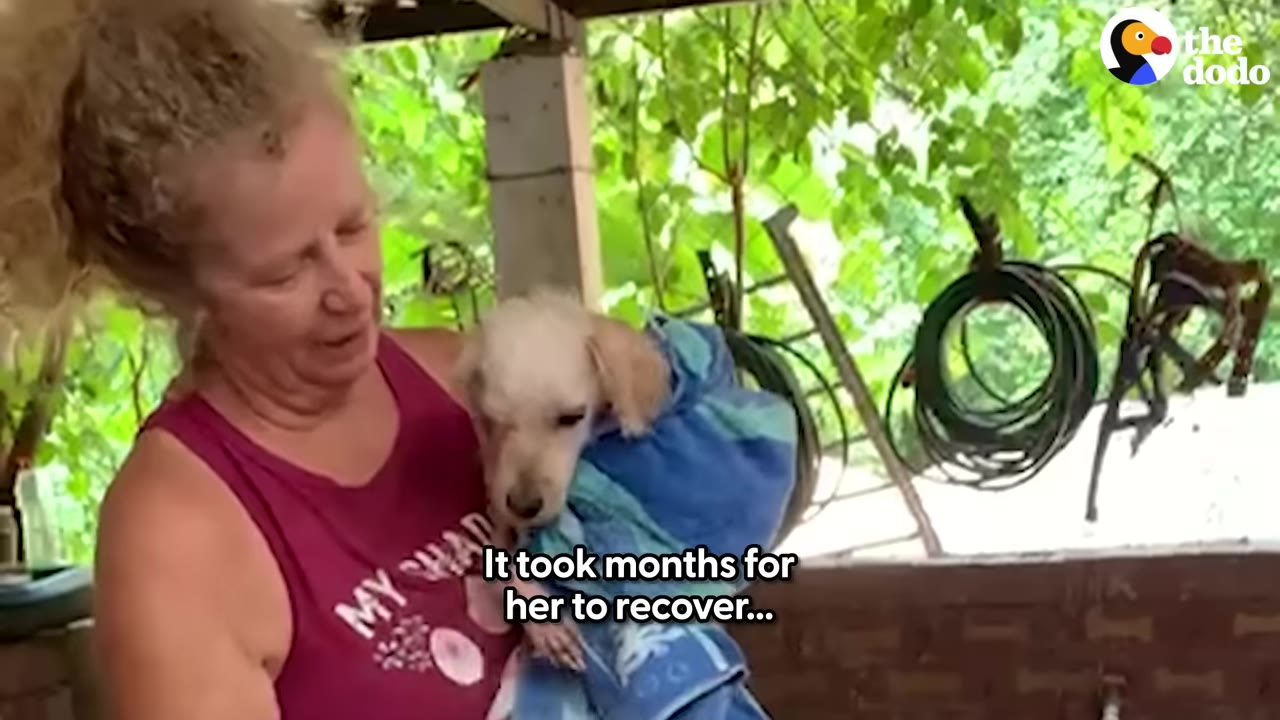 A woman with blonde hair holds a small, light-colored dog wrapped in a blue towel.