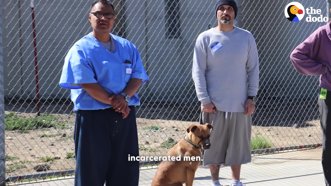 Two men stand in front of a chain-link fence in an outdoor yard, with a brown dog sitting on the ground between them.