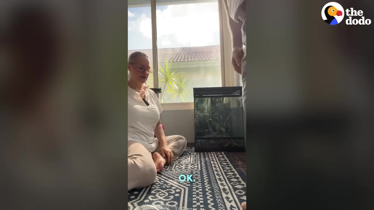 A woman sits on a patterned rug next to a black mesh terrarium, looking up at a man standing nearby.