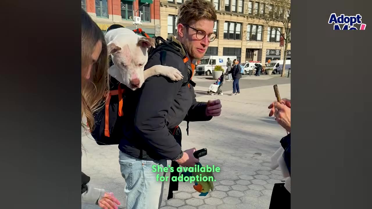 A man wearing glasses and a black jacket carries a white dog in a backpack carrier in a paved city square.