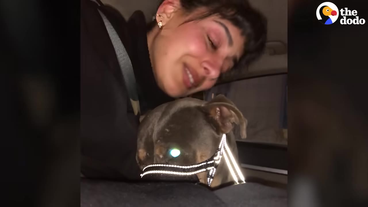 A woman with dark hair closes her eyes and smiles emotionally as she hugs a small brown dog wearing a reflective harness.