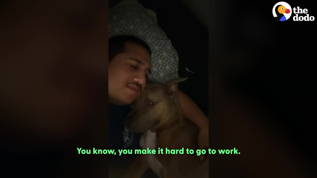 A man lies in bed cuddling with a brown dog, with text on screen reading 'You know, you make it hard to go to work.'