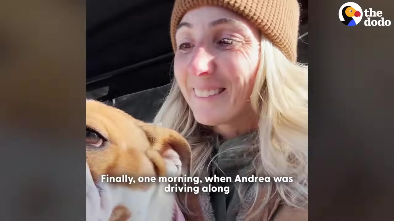 A woman wearing a brown beanie smiles next to a light brown and white dog inside a vehicle.