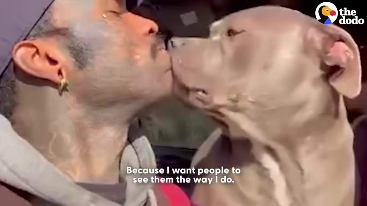 A close-up shot of a man kissing a light brown pit bull-type dog on the nose.