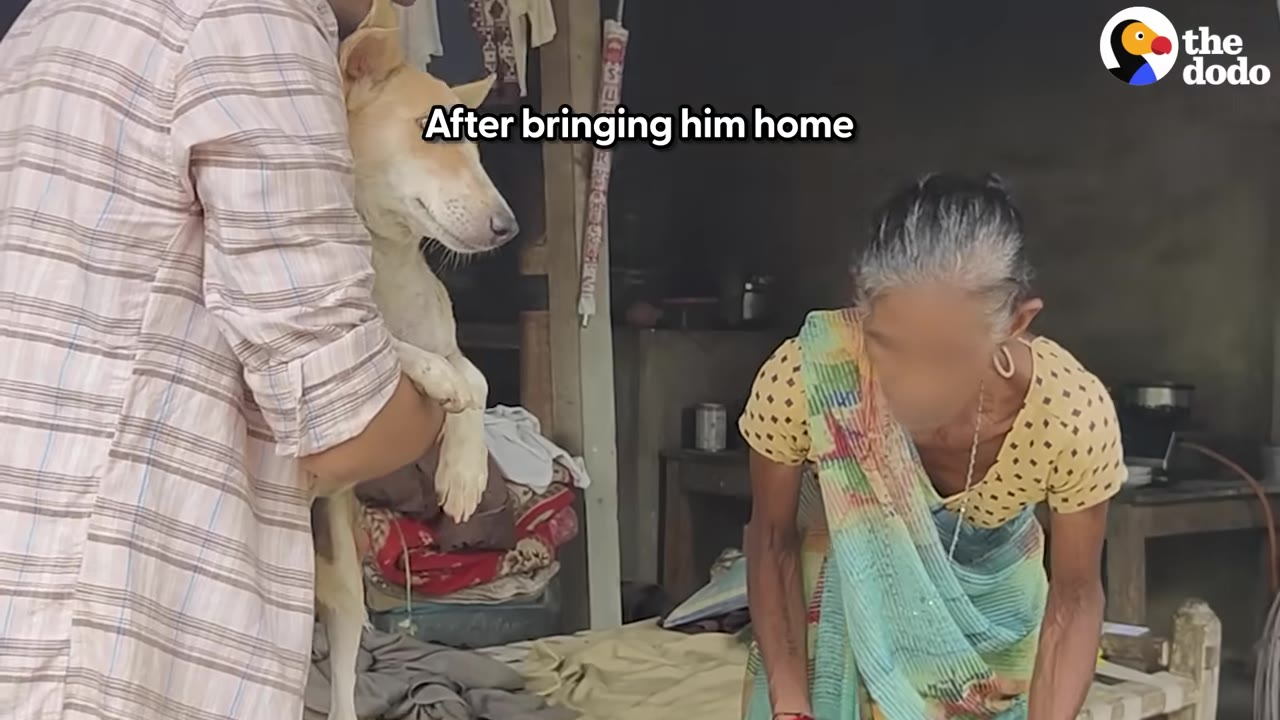 A man in a striped shirt holds a light brown dog in his arms as he brings him home to an older woman wearing a colorful sari.
