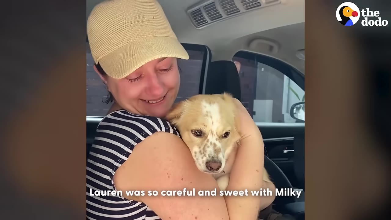 A woman wearing a yellow cap and a striped sleeveless shirt smiles warmly as she cradles a small, light-brown and white dog in her arms inside a car.