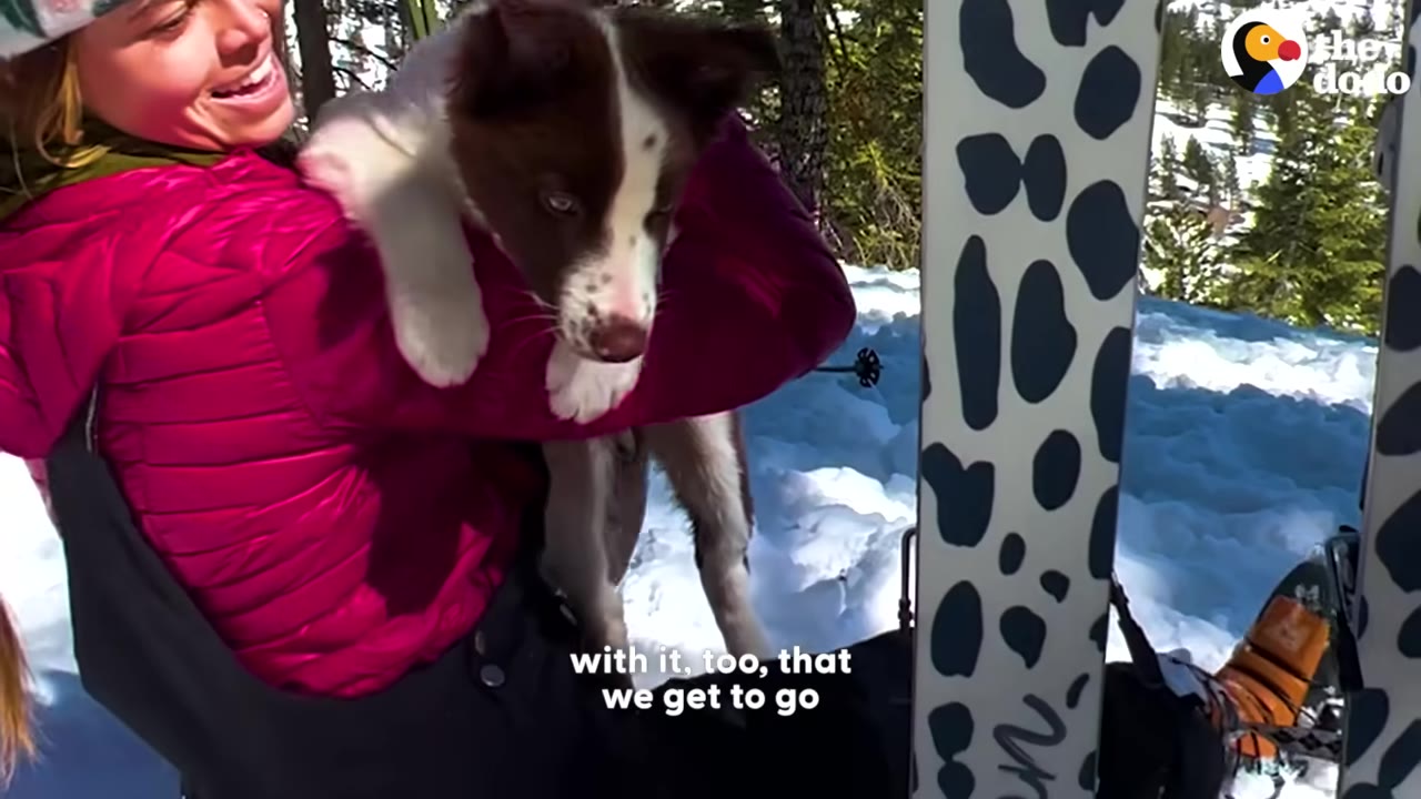 A smiling woman in a pink jacket holds a brown and white puppy in her arms while sitting in the snow next to her skis.