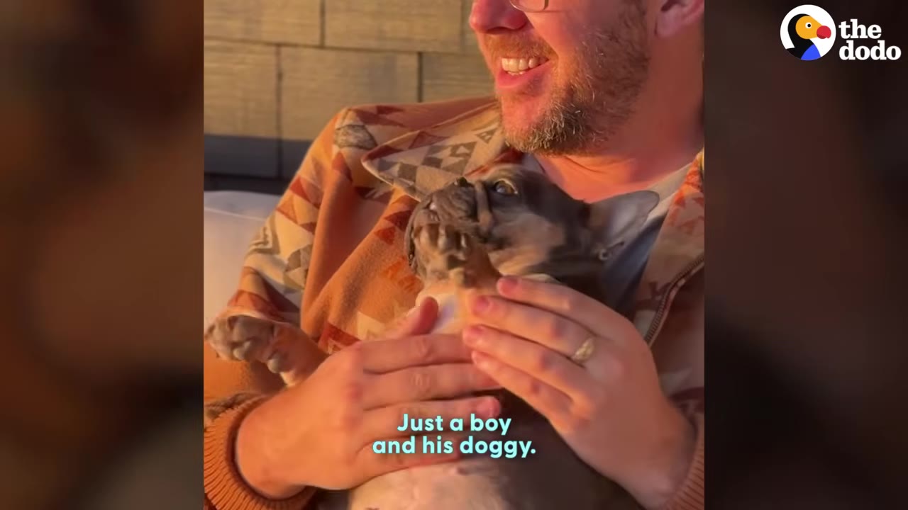 A smiling man with glasses and a beard holds a small French bulldog puppy in his lap.