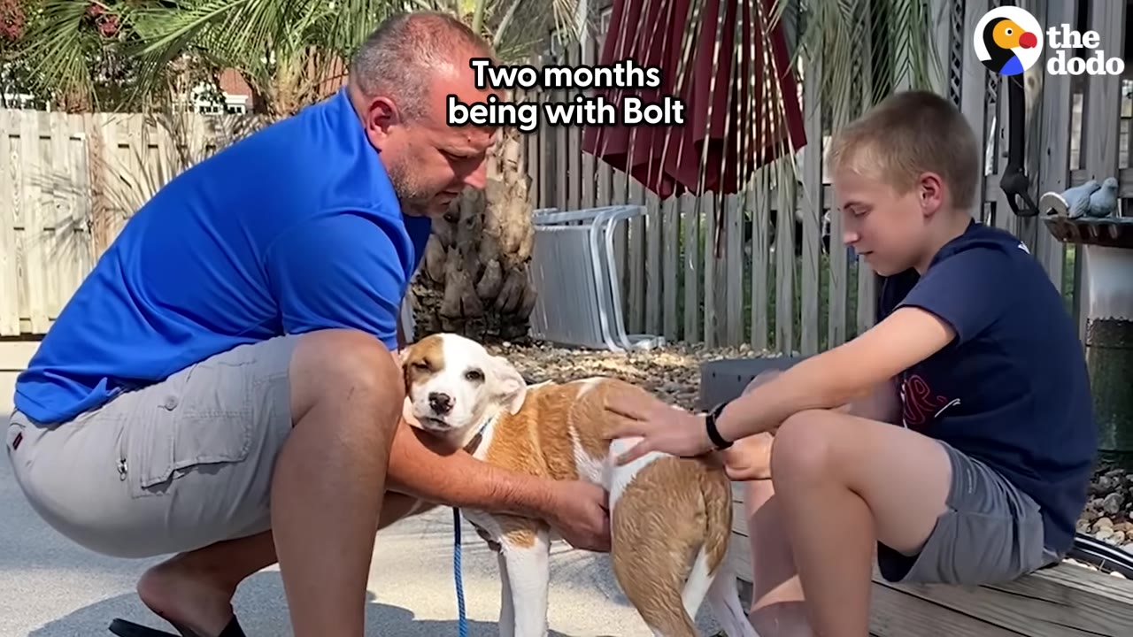 A man in a blue shirt and a young boy pet a brown and white dog outdoors near a wooden fence.