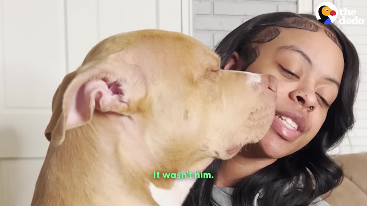 A tan dog nuzzles a smiling woman's face as the caption reads, 'It wasn't him.'