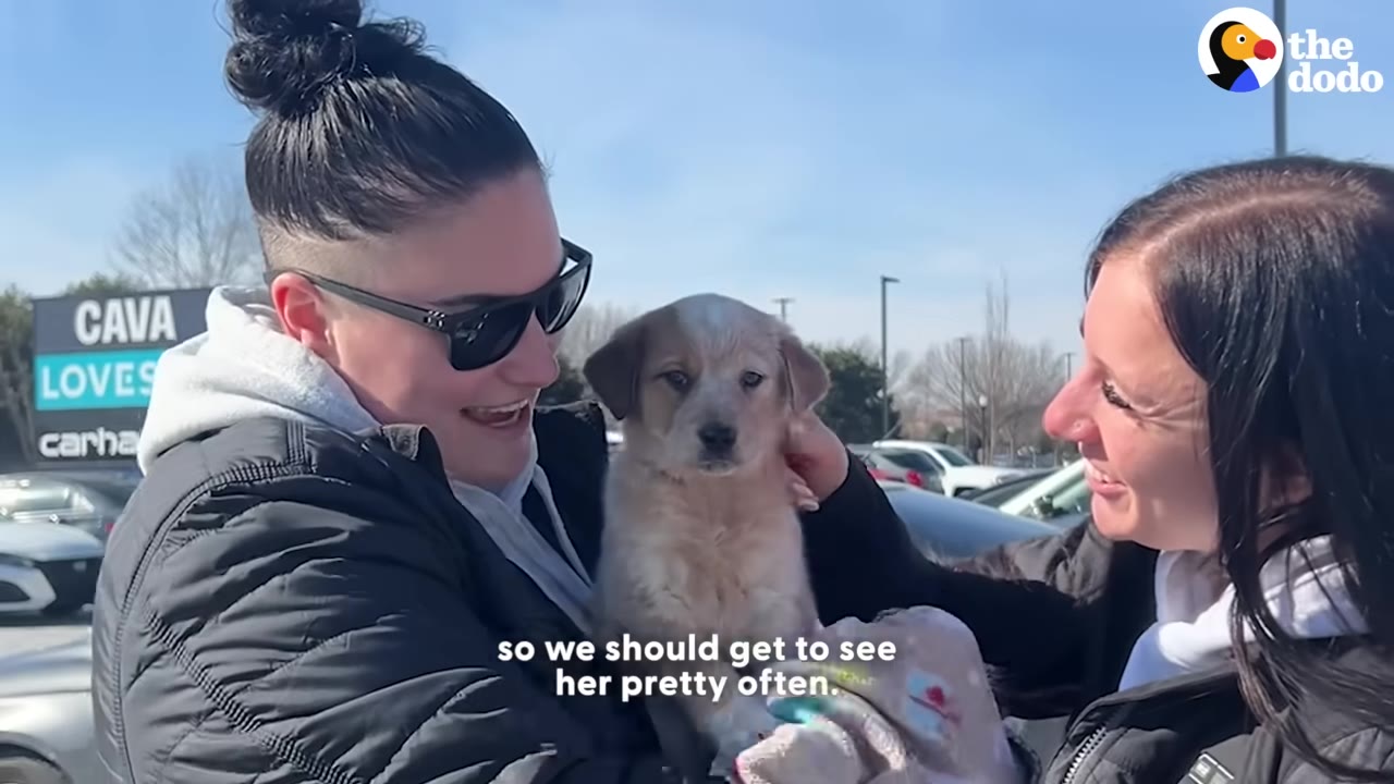 A small tan and white puppy is held by two smiling people outdoors in a parking lot.
