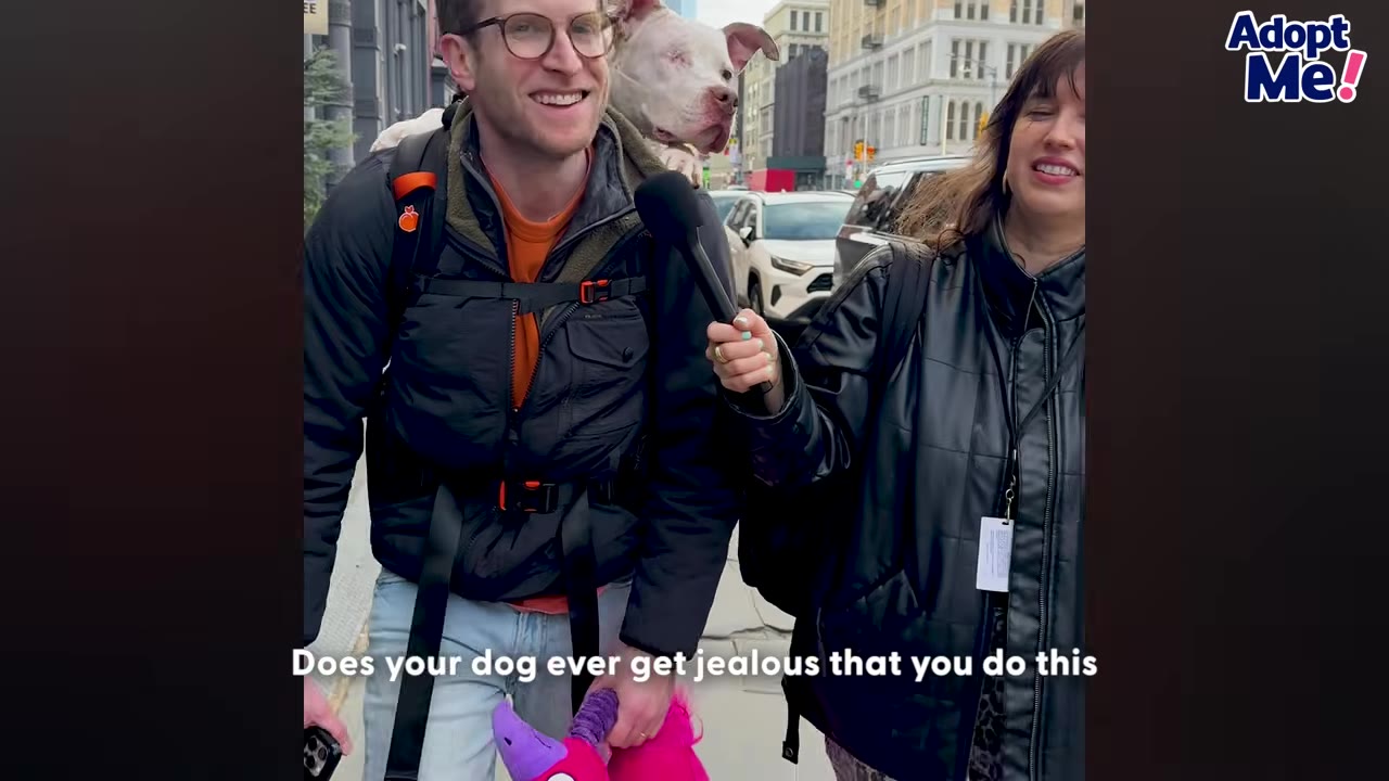 A smiling man with glasses carries a white dog in a backpack carrier on a city street while holding a pink toy, as a woman holds a microphone to interview him.