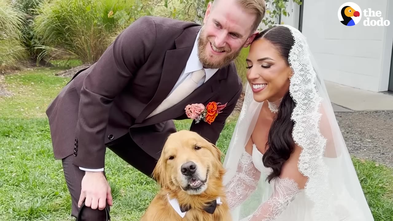 A golden retriever wearing a black bow tie sits proudly in the center, smiling at the camera, while a bride in a lace veil and a groom in a brown suit lean in close and smile beside him.
