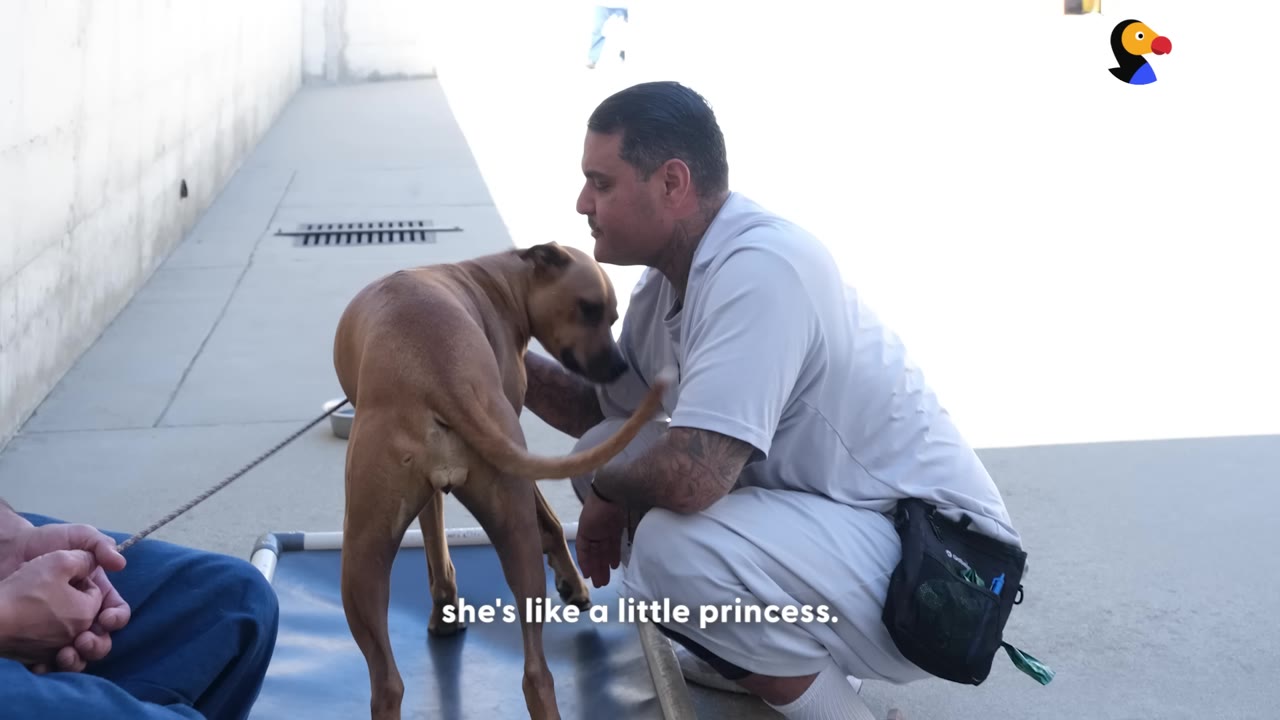 An incarcerated man in a white uniform crouches down to gently rest his forehead against a brown dog's head.