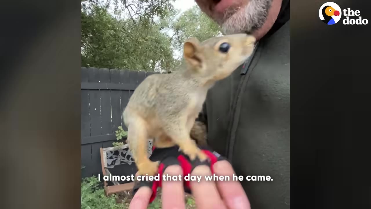 A small squirrel stands on a person's gloved hand, looking up towards the man's face in an outdoor setting.