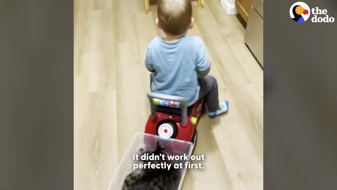 A young boy in a blue shirt rides a red toy car with a plastic bin attached to the back containing a tabby cat.