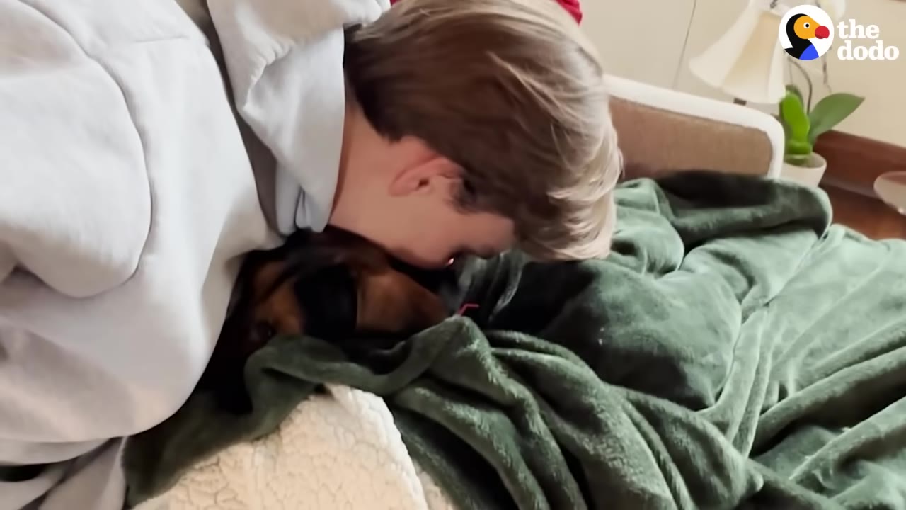 A young man in a grey hoodie leans his head down to cuddle a brown and black dog resting under a green blanket.