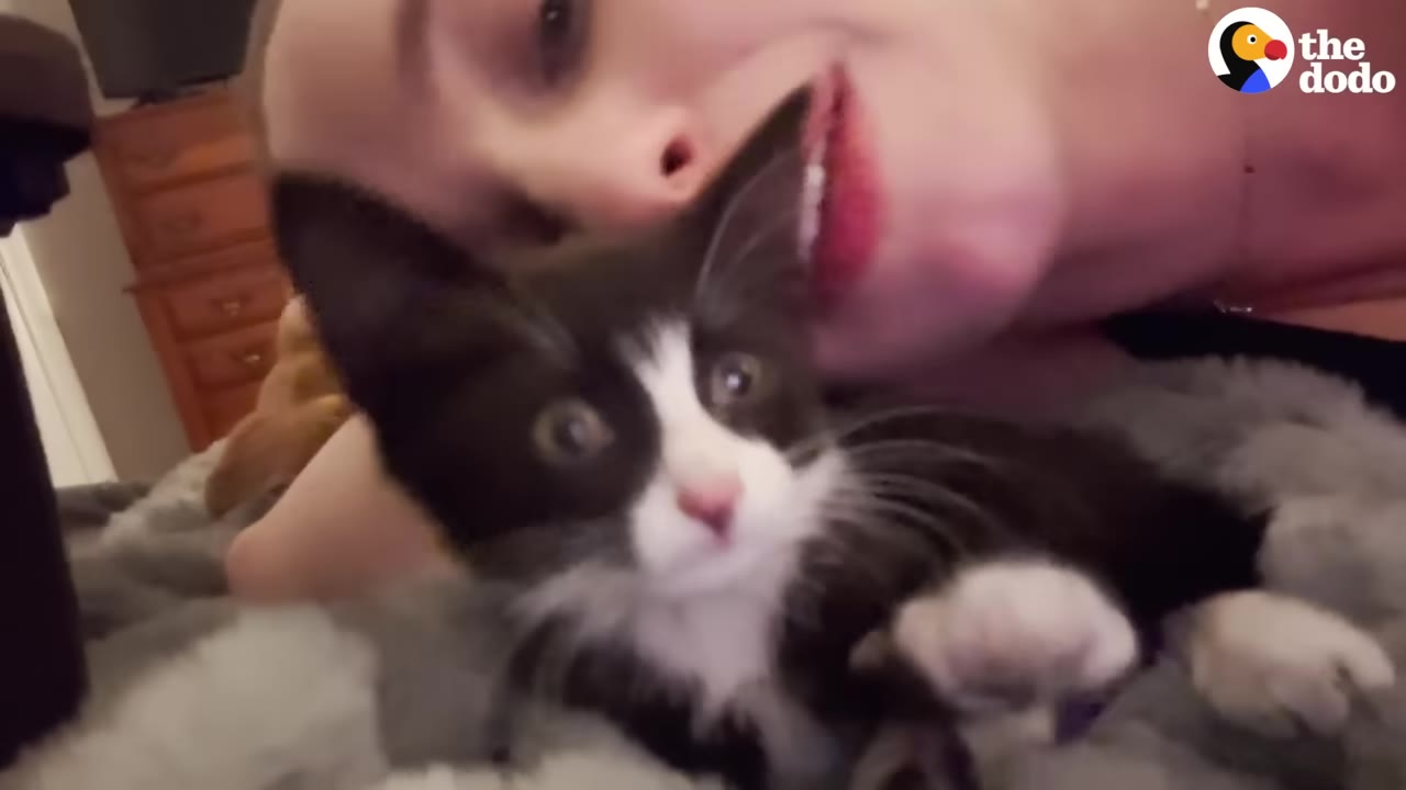 A close-up of a black and white kitten lying on a grey blanket next to a smiling woman.