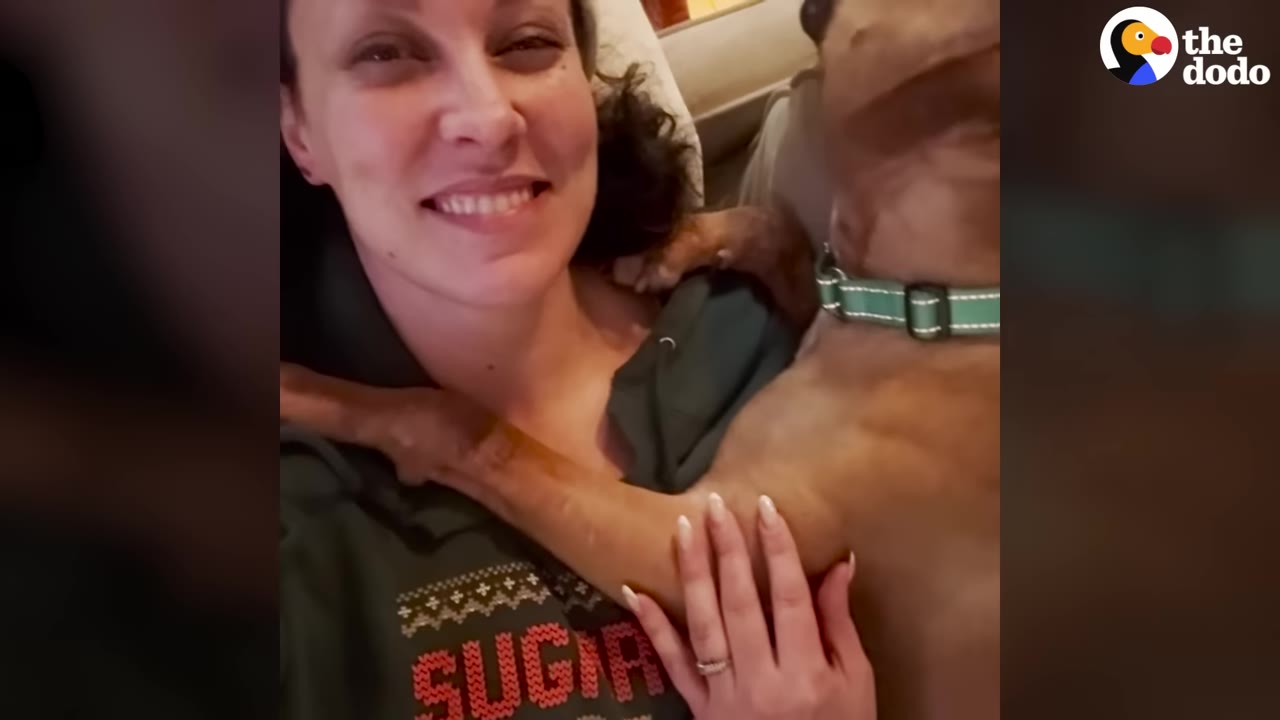 A smiling woman in a dark green sweatshirt cuddles a brown dog wearing a green collar.