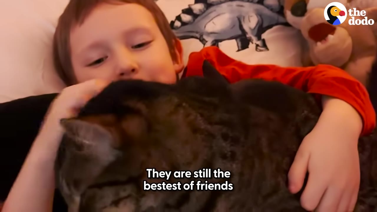 A young boy in a red shirt lies in bed, smiling as he hugs a large tabby cat.