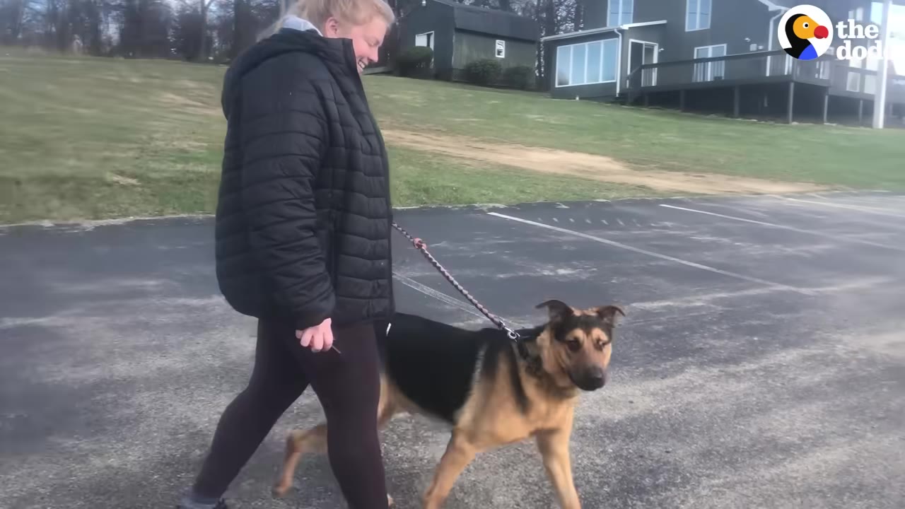 A smiling woman in a black puffer jacket walks a German Shepherd mix dog on a leash across an asphalt parking lot.