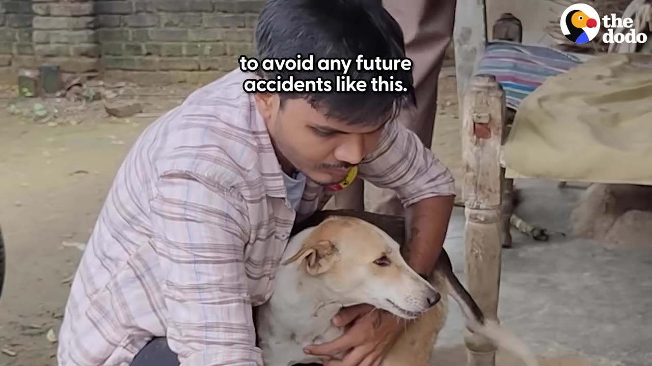 A man in a striped shirt gently holds a light brown and white dog in his arms outdoors.
