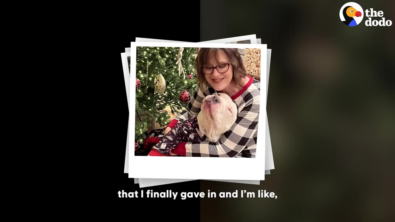 A photo styled as a polaroid showing a woman in a black and white plaid shirt hugging a white dog wearing pajamas in front of a decorated Christmas tree.