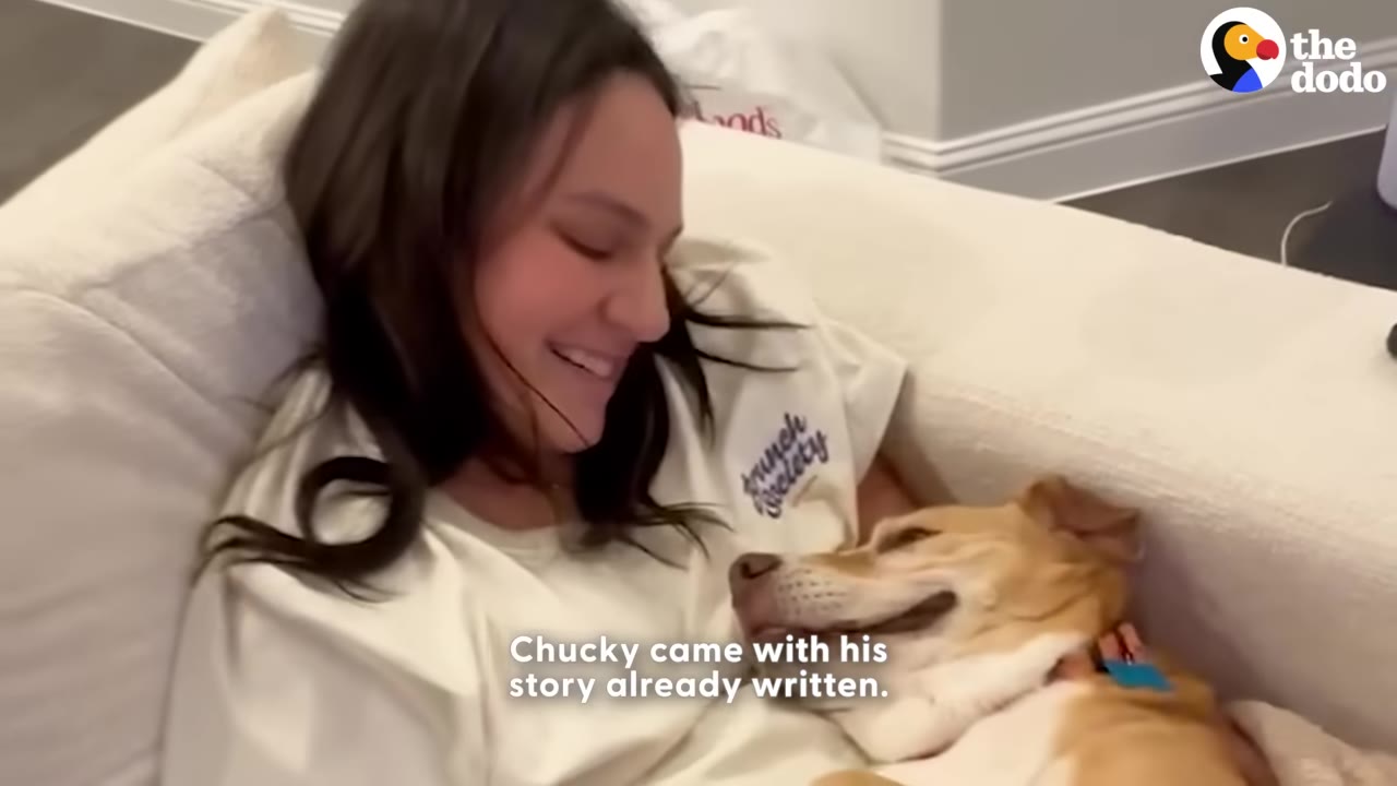A smiling woman looks down at a tan and white dog resting comfortably in her lap on a white couch.