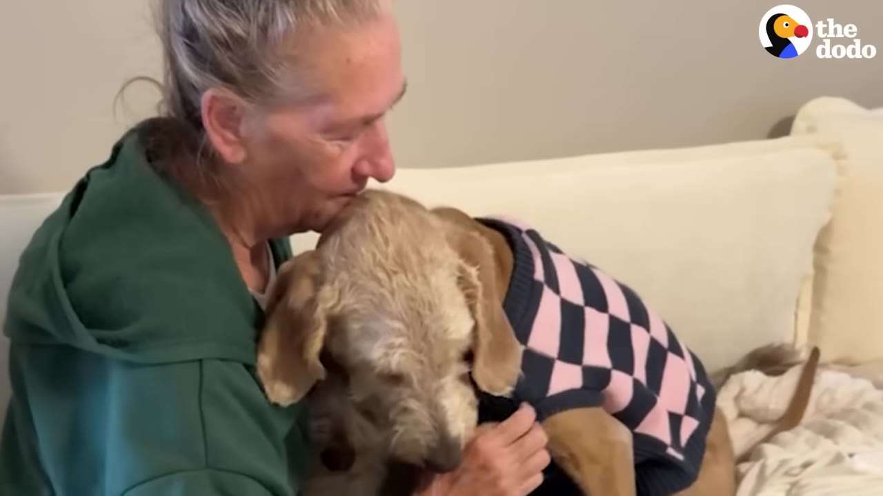 A woman in a green hoodie gently hugs a scruffy light-colored dog wearing a pink and black checkered sweater.