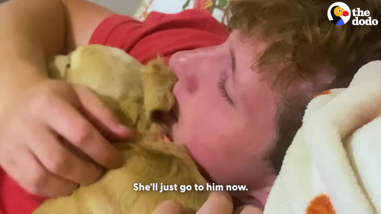 A close-up shot of a man in a red shirt lying down and cuddling a small golden dog close to his face.