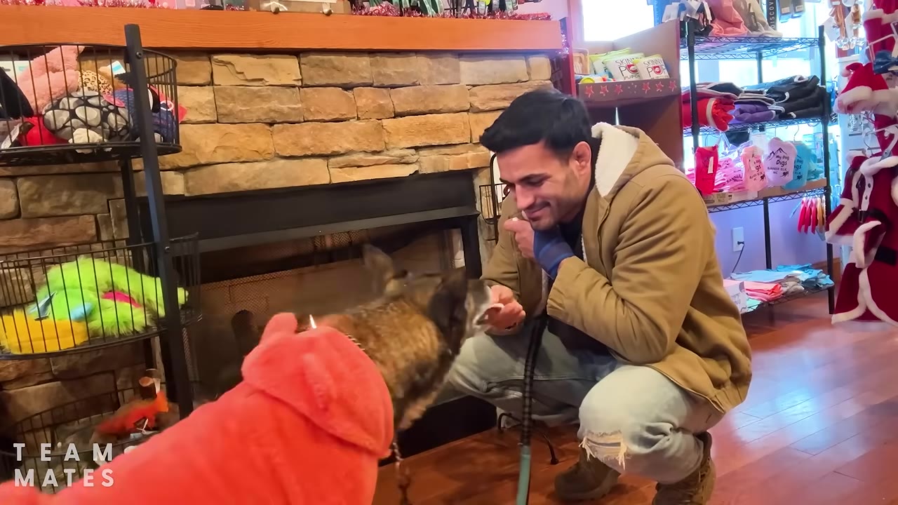 A man in a tan jacket kneels in front of a stone fireplace, feeding a treat to a dog wearing a pink fleece coat.