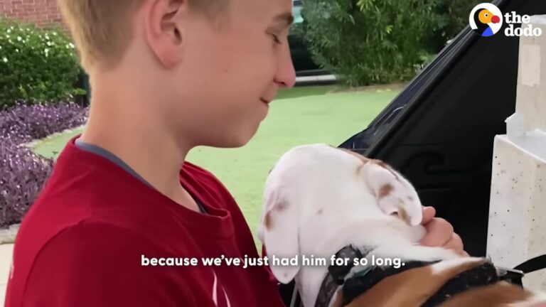 Georgia Boy Fostered A Tiny Puppy All Summer, But Their Final Drive-Thru Trip Revealed The True Meaning Of Rescue
