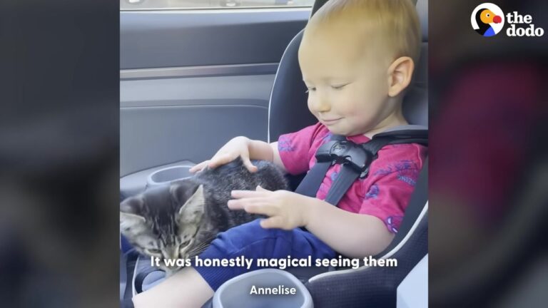 Ohio Boy Wanted A Little Buddy, But What Happens 4 Years Later Is Pure Magic