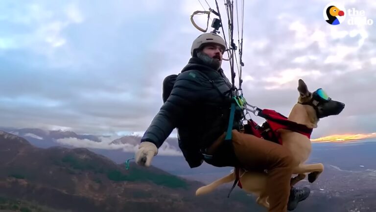 Alaska Man Feared He Couldn’t Be A Good Dog Dad, Until One Wild Idea Changed Both Their Lives
