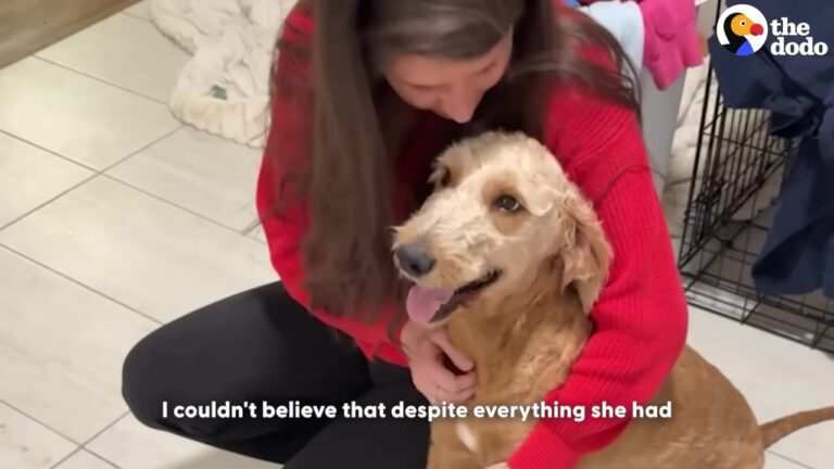 Georgia Dog Left Outside In The Rain Reveals The Sweetest Quirk After Being Rescued
