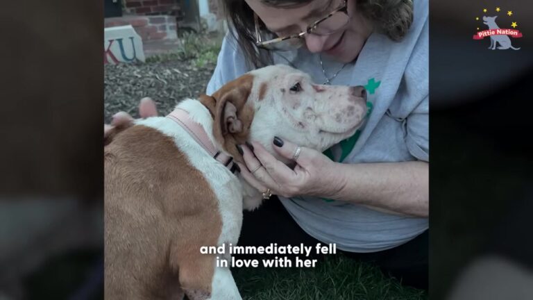 California Dog Left Shivering In A Shelter Shows Her Beautiful Smile When A Neighbor Steps In