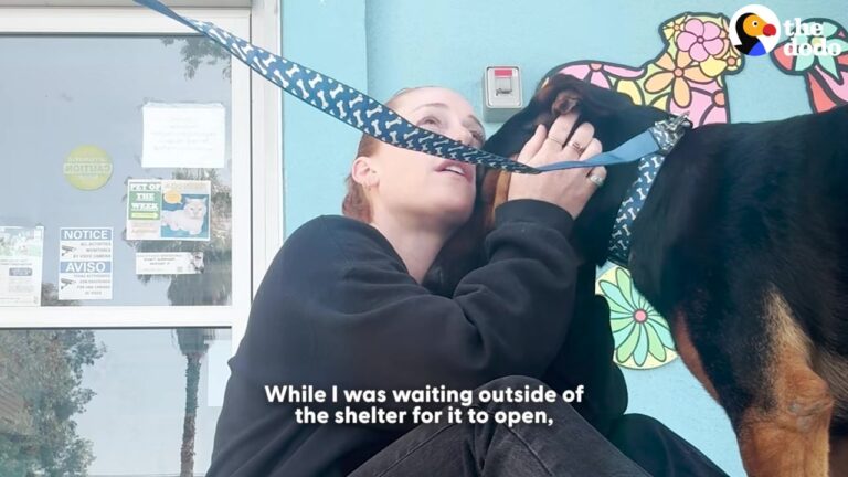 Georgia Dog Was Moments Away From Surrender Until A Crowd Of Strangers Refused To Let Him Go