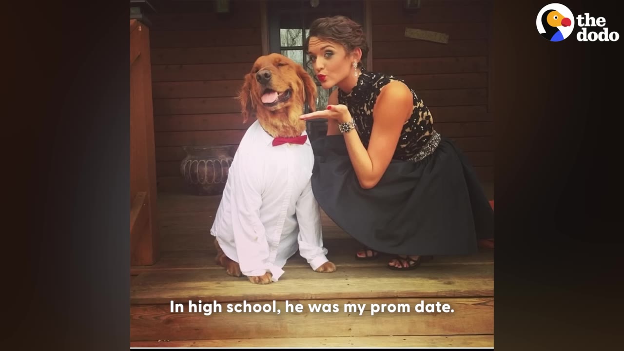 A young woman in a black formal dress posing on wooden steps next to a golden retriever wearing a white button-down shirt and a red bow tie.