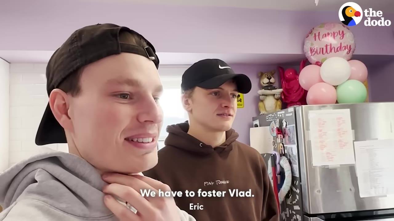 Two young men wearing baseball caps stand in a room with purple walls, with a subtitle that reads, 'We have to foster Vlad.'