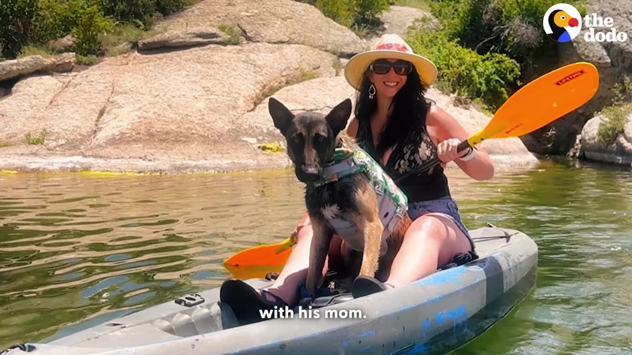 A German Shepherd-type dog wearing a life vest sits on a kayak with a smiling woman wearing a sun hat and holding a paddle on a sunny day.