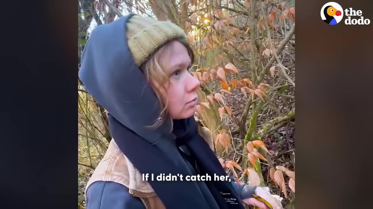 A woman wearing a knit beanie, a grey hood, and a dark scarf looks off to the side with a serious expression while standing in a wooded area with bare trees and dry leaves.