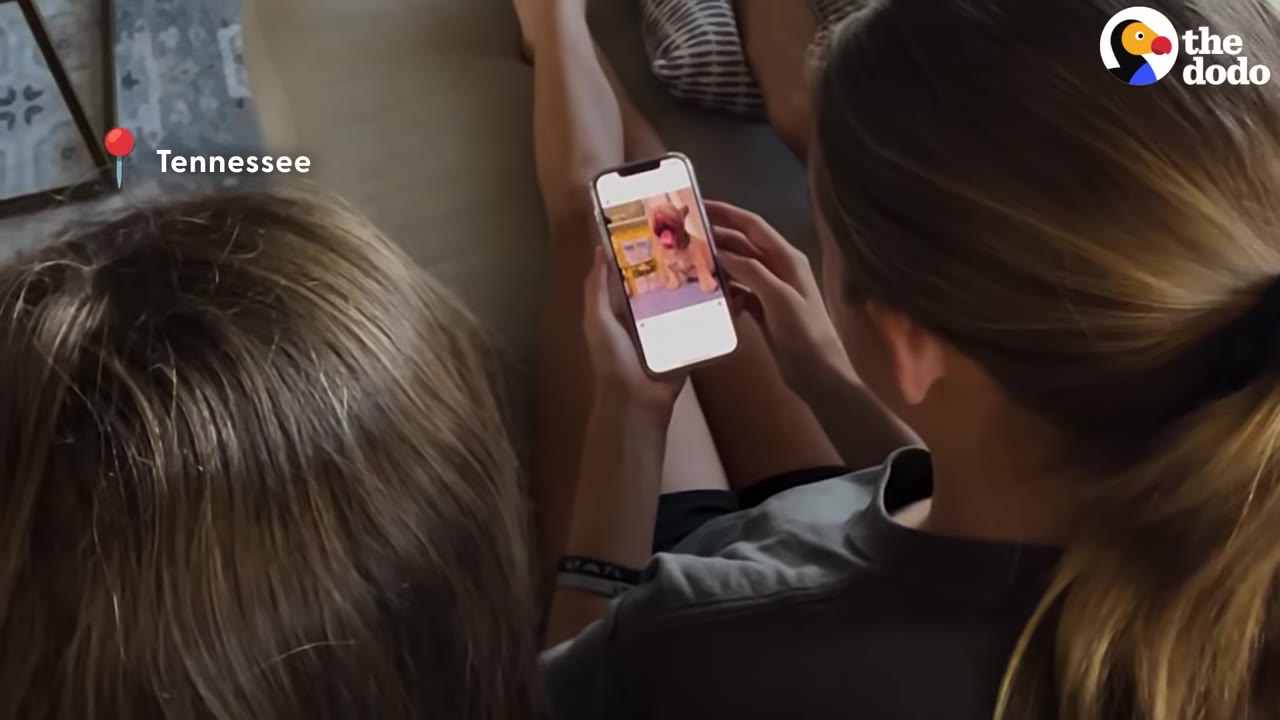 An over-the-shoulder view of two people looking at a smartphone screen displaying a photo of a small French Bulldog puppy.