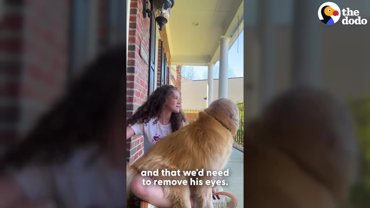 A woman with long curly hair sits on a brick porch, holding a golden retriever, with text on screen reading 'and that we'd need to remove his eyes.'