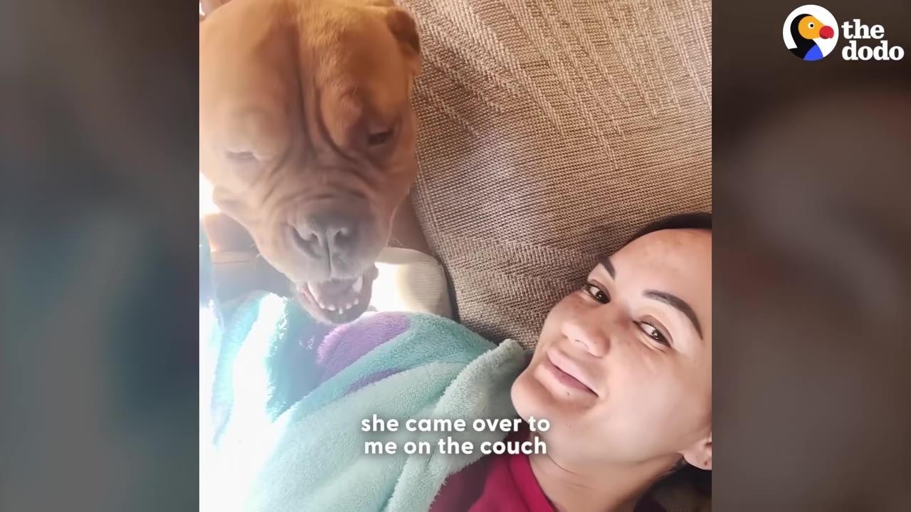 A smiling woman lying on a couch under a blanket as a large brown dog leans in close to her face.