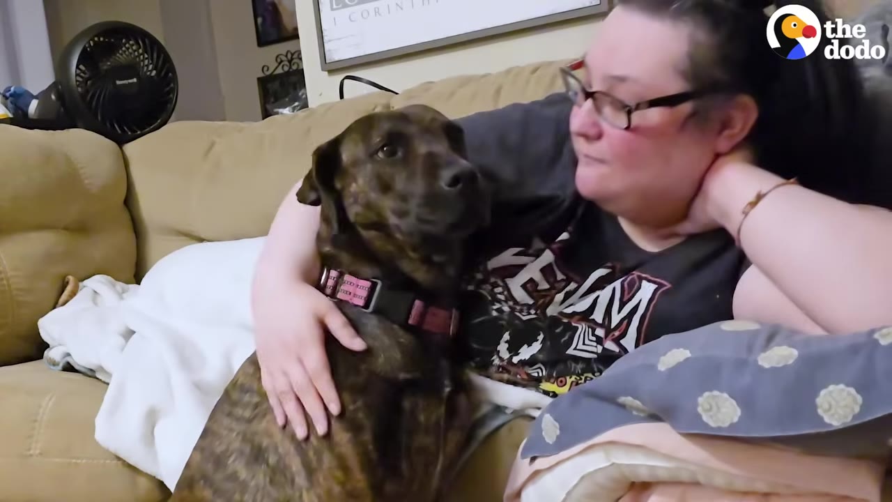 A woman with glasses sits on a couch, hugging a brindle dog who is looking back at her affectionately.