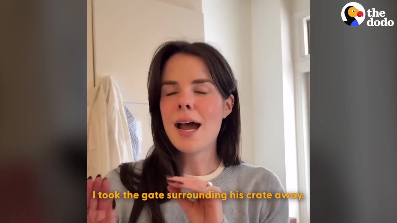 A woman with dark hair speaks to the camera, with a subtitle that reads, 'I took the gate surrounding his crate away.'